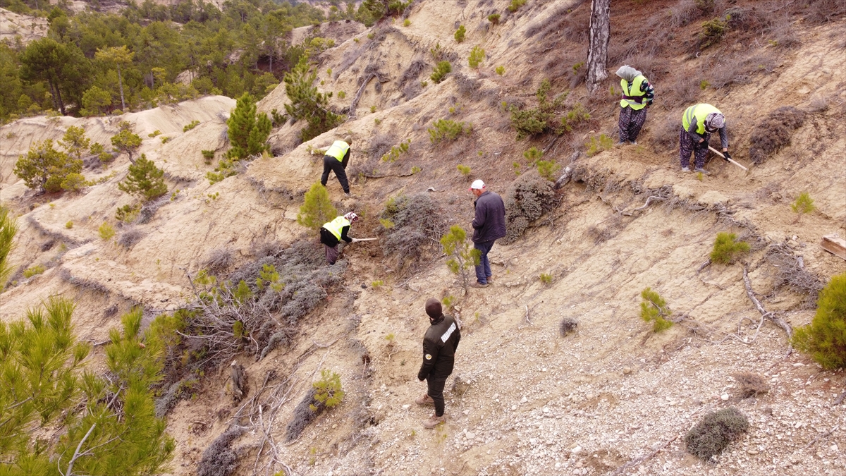 A A 20251207 39912753 39912743 O R M A N I S C I L E R I E R O Z Y O N A K A R S I D A S A H A D A