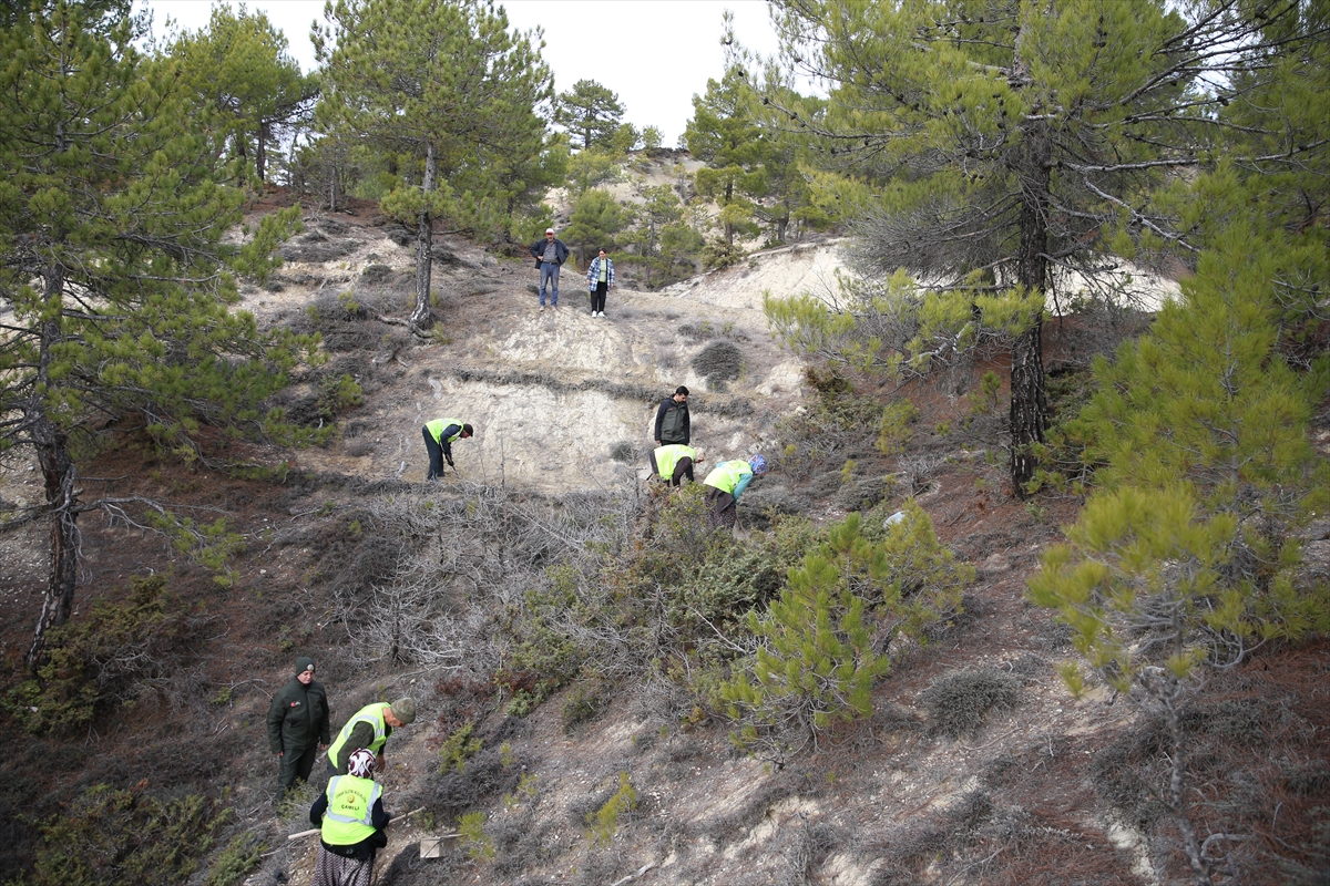 A A 20251207 39912753 39912751 O R M A N I S C I L E R I E R O Z Y O N A K A R S I D A S A H A D A