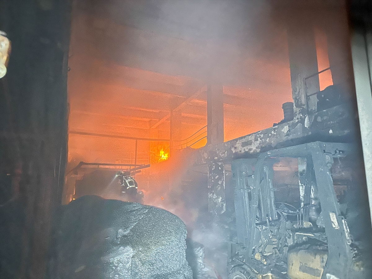 A A 20251208 39918772 39918768 U S A K T A P L A S T I K P O S E T U R E T I M I Y A P A N F A B R I K A D A Y A N G I N C I K T I