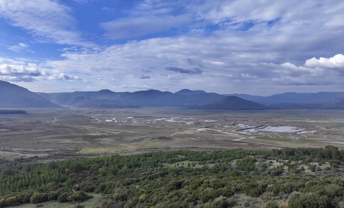 A A 20251210 39939554 39939539 I Z M I R D E K I I C M E S U Y U B A R A J L A R I K U R A K L I K N E D E N I Y L E A L A R M V E R I Y O R