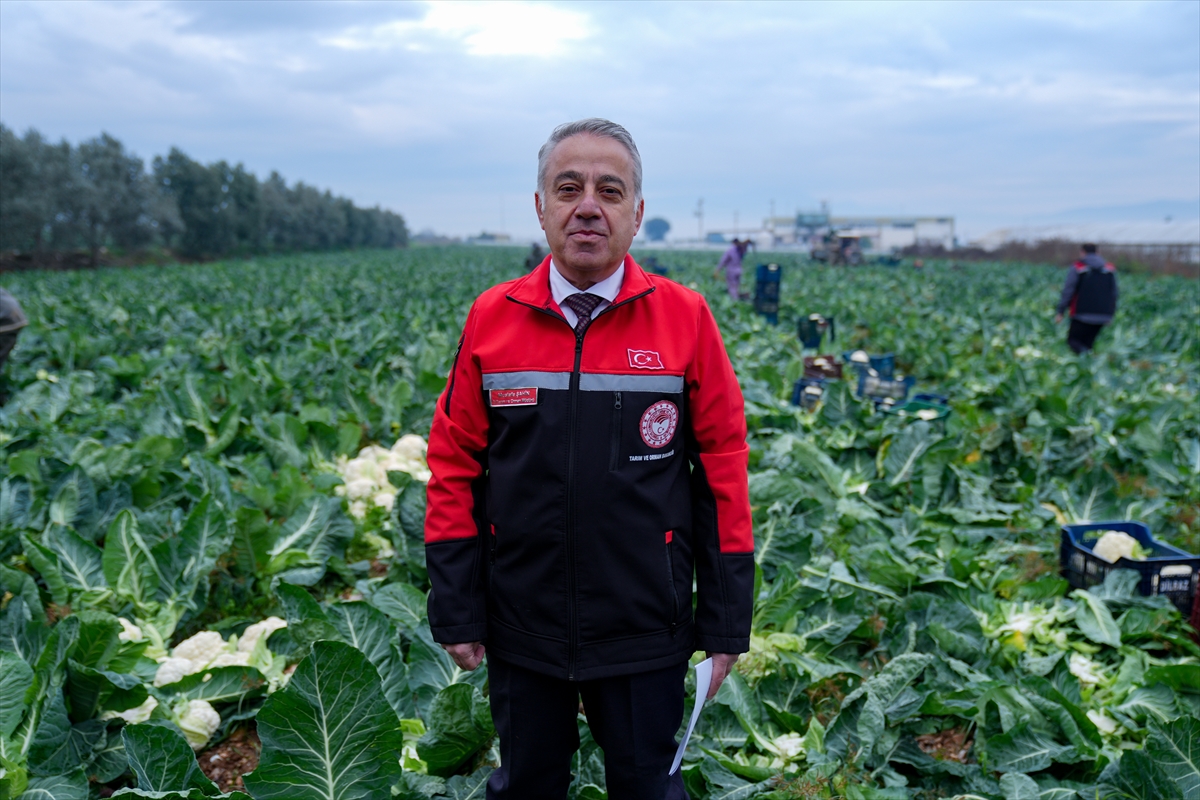 A A 20251211 39949924 39949922 I Z M I R I N K I S L I K S E B Z E T A R L A L A R I N D A H A S A T T E L A S I Y A S A N I Y O R