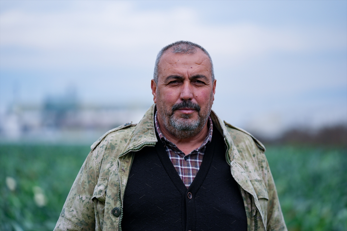 A A 20251211 39949924 39949923 I Z M I R I N K I S L I K S E B Z E T A R L A L A R I N D A H A S A T T E L A S I Y A S A N I Y O R