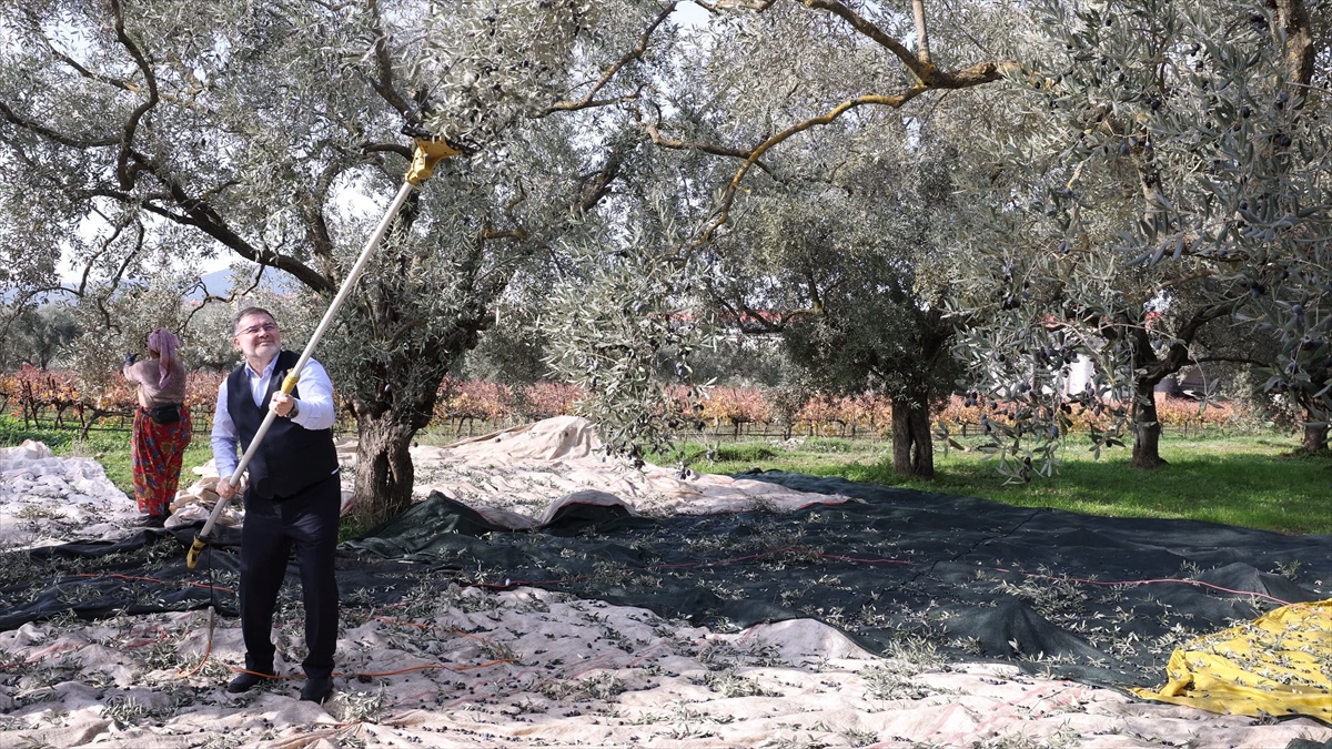 A A 20251211 39950264 39950263 A K P A R T I L I S A Y G I L I E F E S A N T I K K A N A L P R O J E S I N I I N C E L E D I