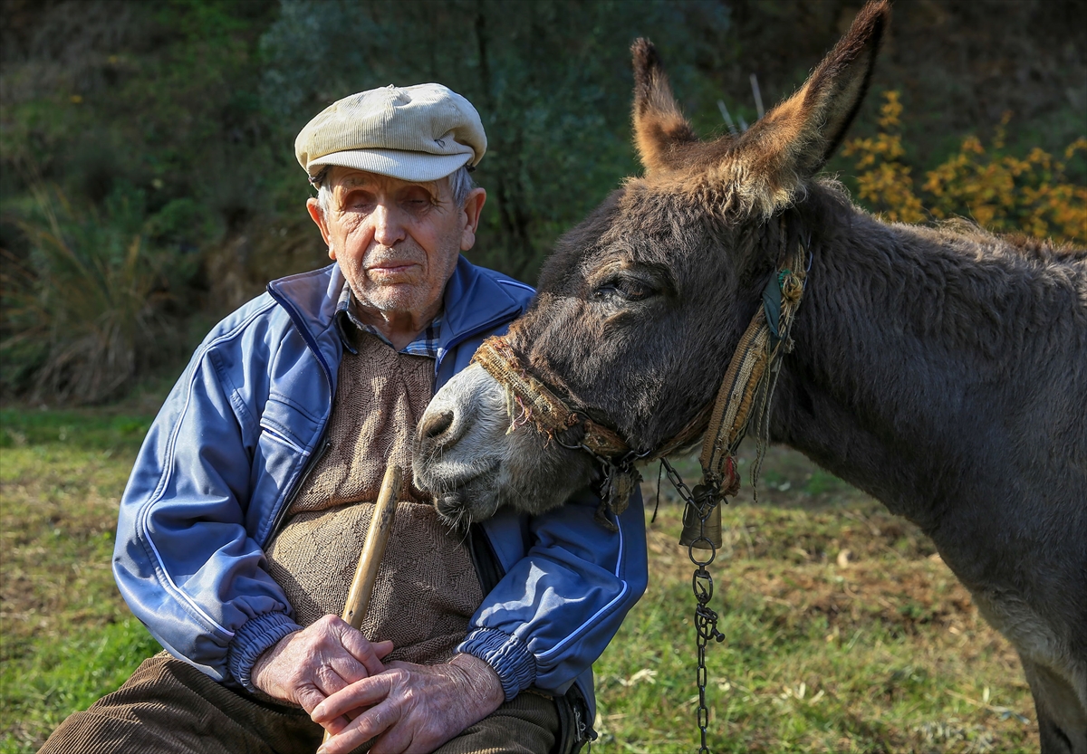 A A 20251211 39950722 39950711 G O R M E E N G E L L I R A I F D E D E Y O L U N U 24 Y I L D I R E S E G I M A G A R E S A Y E S I N D E B U L U Y O R