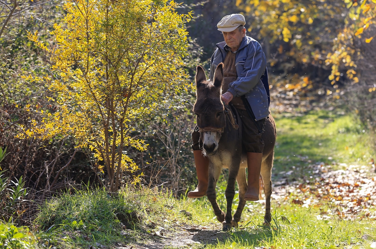 A A 20251211 39950722 39950717 G O R M E E N G E L L I R A I F D E D E Y O L U N U 24 Y I L D I R E S E G I M A G A R E S A Y E S I N D E B U L U Y O R