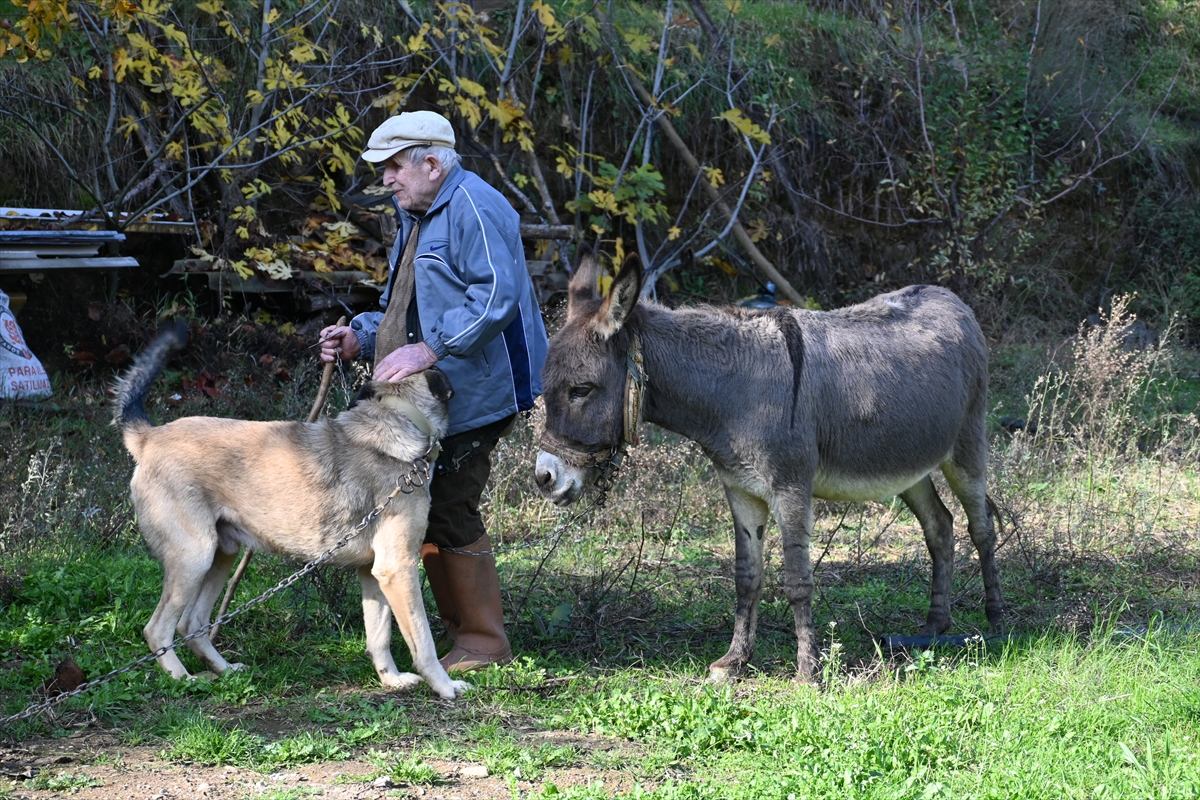 A A 20251211 39950798 39950797 G O R M E E N G E L L I R A I F D E D E Y O L U N U 24 Y I L D I R E S E G I M A G A R E S A Y E S I N D E B U L U Y O R