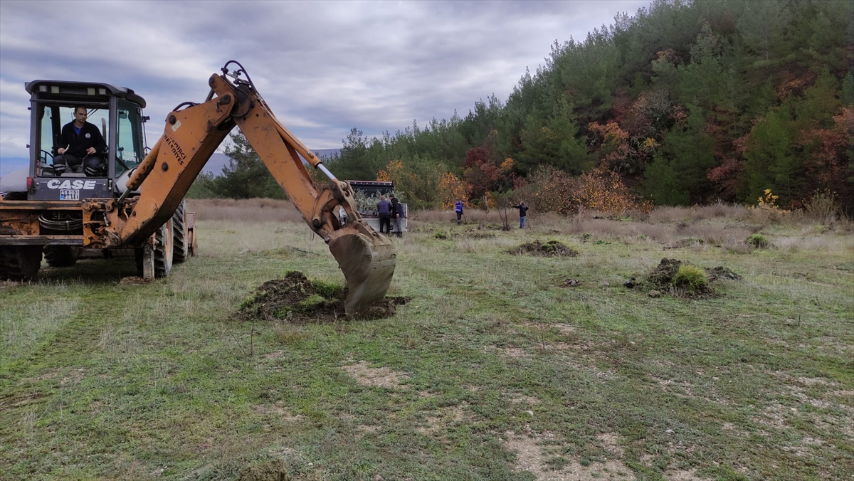 A A 20251212 39964926 39964925 D E M I R C I D E A T I L A R A Z I L E R E M E Y V E A G A C L A R I D I K I L I Y O R