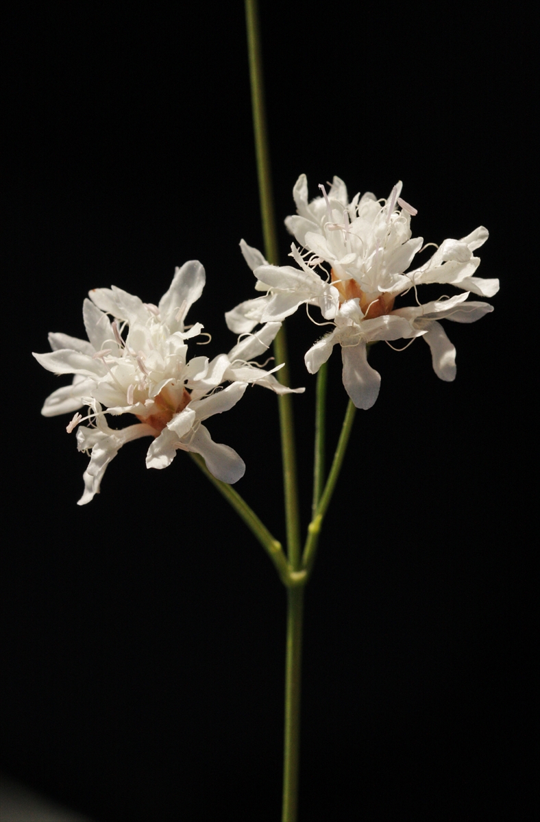 A A 20251216 39993615 39993614 E M E K L I F E N B I L G I S I O G R E T M E N I N I N D I K K A T I Y E N I B I T K I T U R U N U N K E S F I N I S A G L A D I