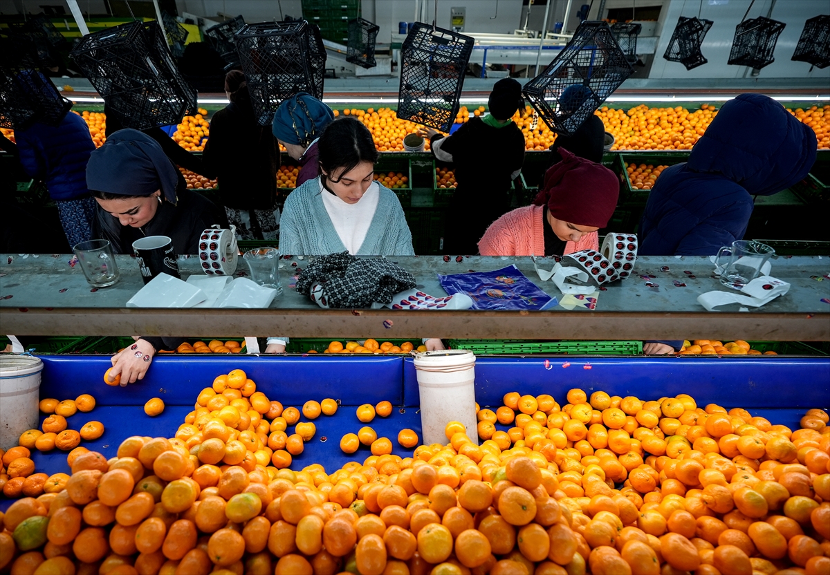 A A 20251217 40002712 40002706 T U R K I Y E N I N M A N D A L I N A I H R A C A T I R E K O R A U L A S T I