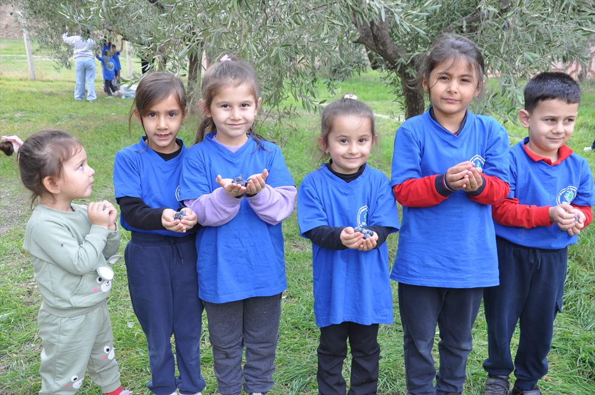 A A 20251226 40082464 40082461 M A N I S A D A A N A S I N I F I O G R E N C I L E R I O K U L B A H C E S I N D E Z E Y T I N T O P L A Y I P Y A G A D O N U S T U R D U