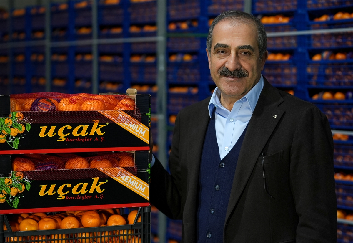 Aa 20251217 40002712 40002711 Turkiyenin Mandalina Ihracati Rekora Ulasti (1)