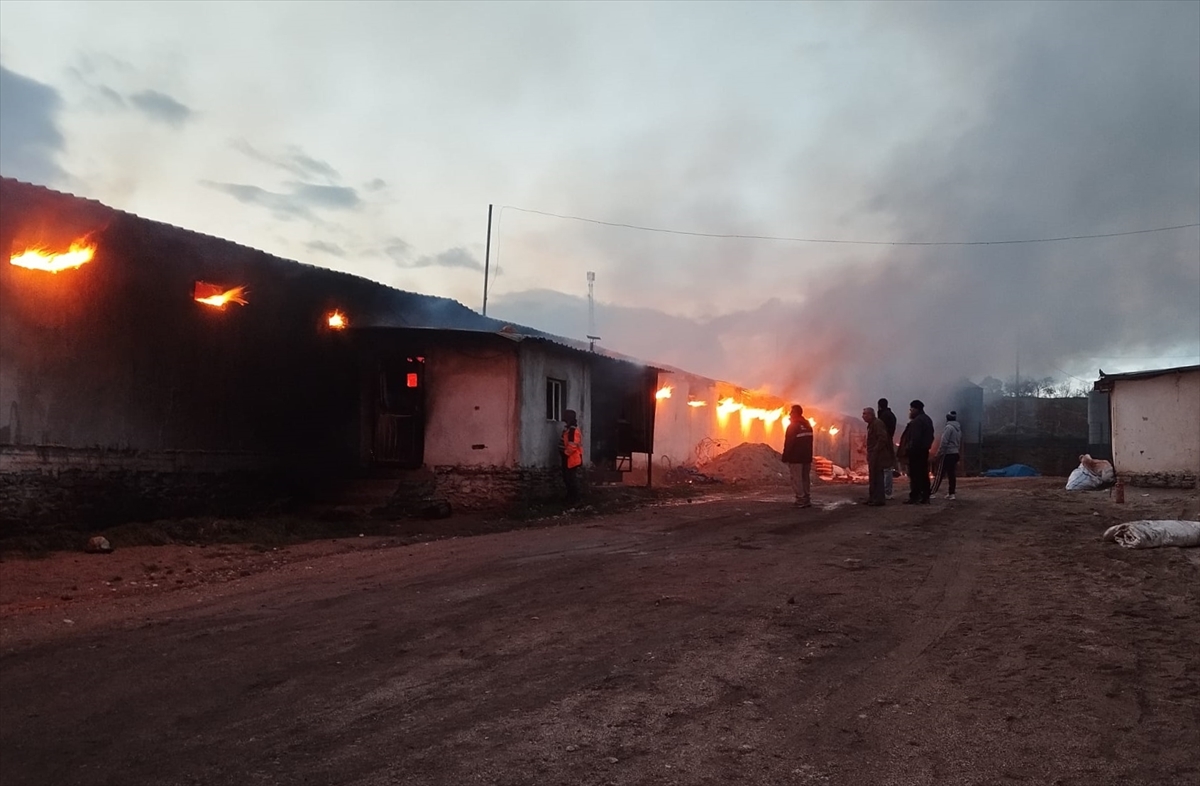 A A 20260103 40152431 40152429 U S A K T A T A V U K C I F T L I G I N D E C I K A N Y A N G I N H A S A R A N E D E N O L D U