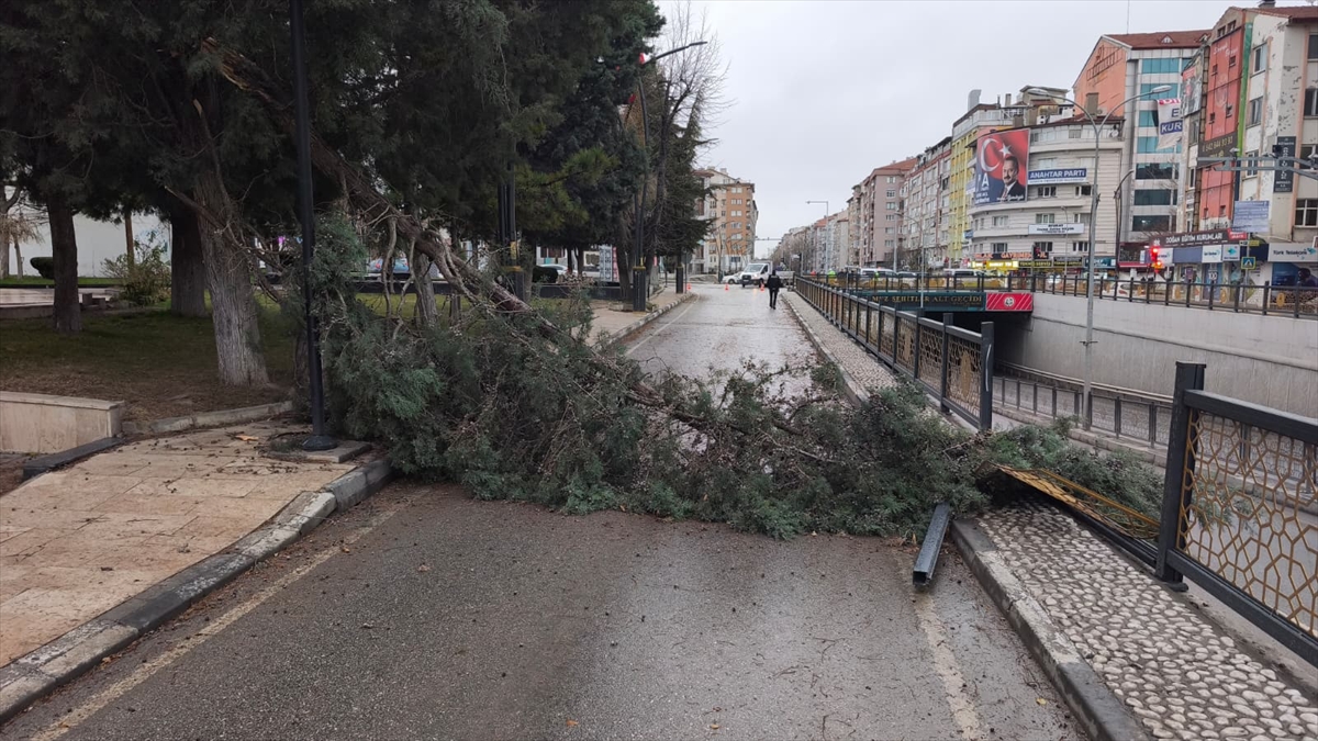 A A 20260108 40193940 40193933 K U T A H Y A D A K U V V E T L I R U Z G A R E T K I L I O L D U