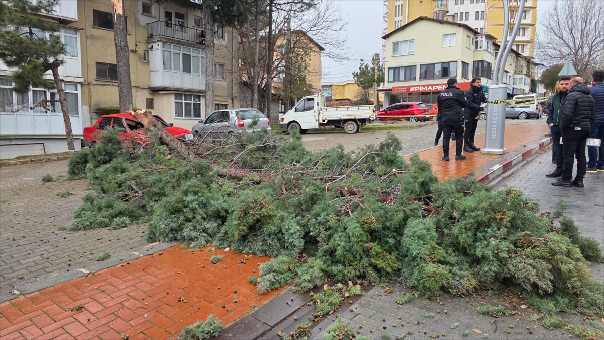 A A 20260108 40193940 40193936 K U T A H Y A D A K U V V E T L I R U Z G A R E T K I L I O L D U