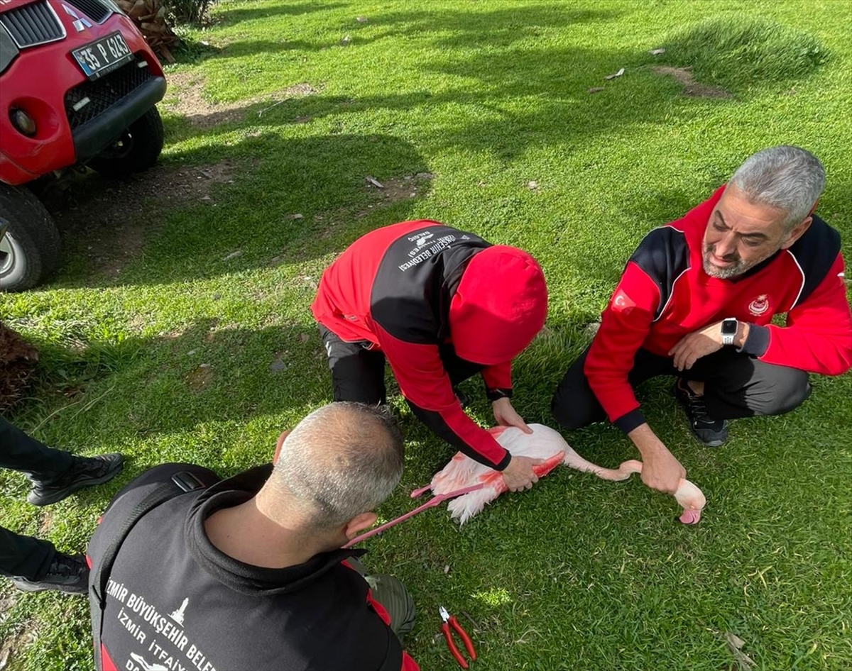 A A 20260111 40223166 40223164 I Z M I R D E A Y A G I N A M I S I N A D O L A N A N F L A M I N G O K U R T A R I L D I