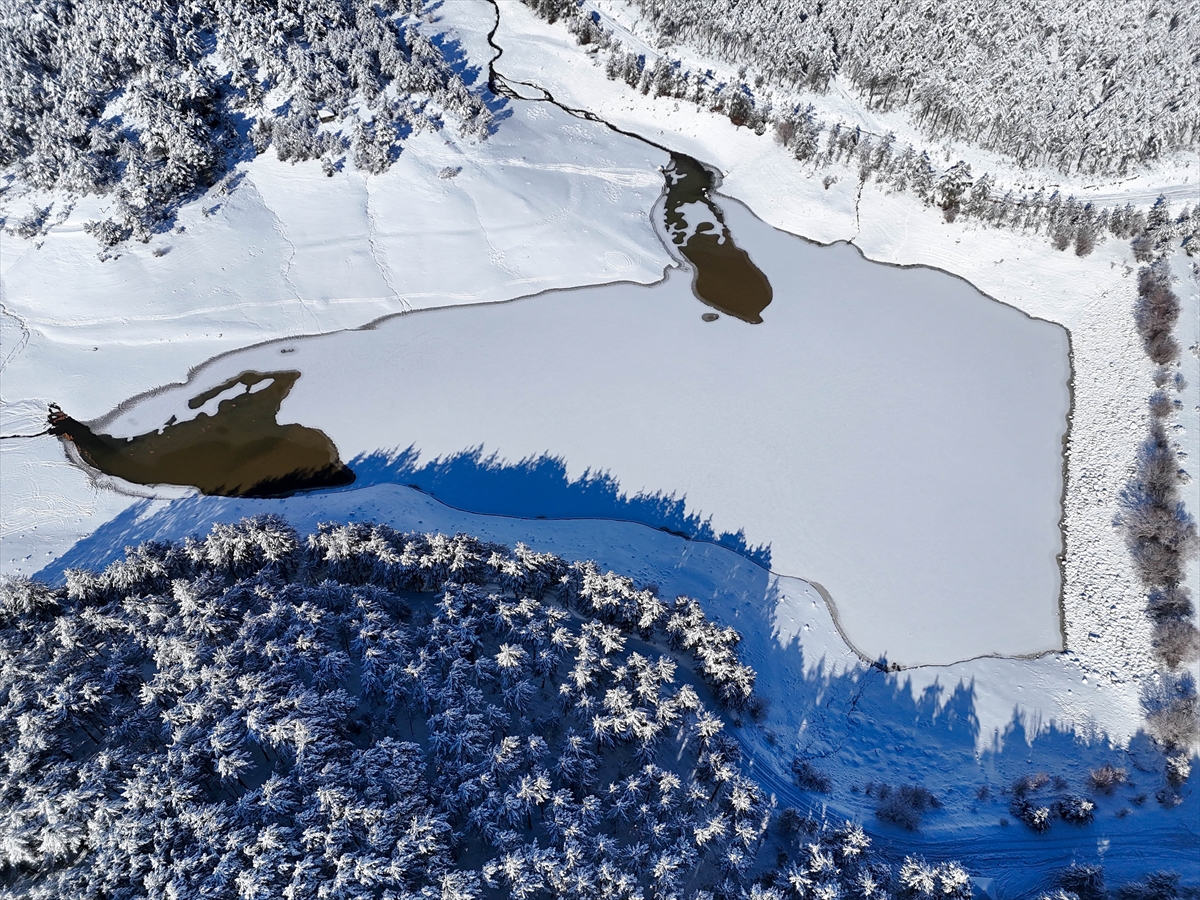 A A 20260113 40243112 40243100 U S A K T A S O G U K H A V A E T K I L I O L U Y O R