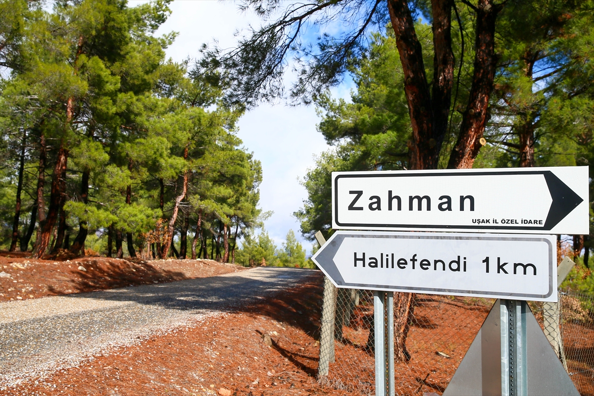 A A 20260130 40408230 40408224 T U R K I Y E D E K O Y S A Y I S I 18 B I N 215 O L A R A K K A Y I T L A R A G E C T I