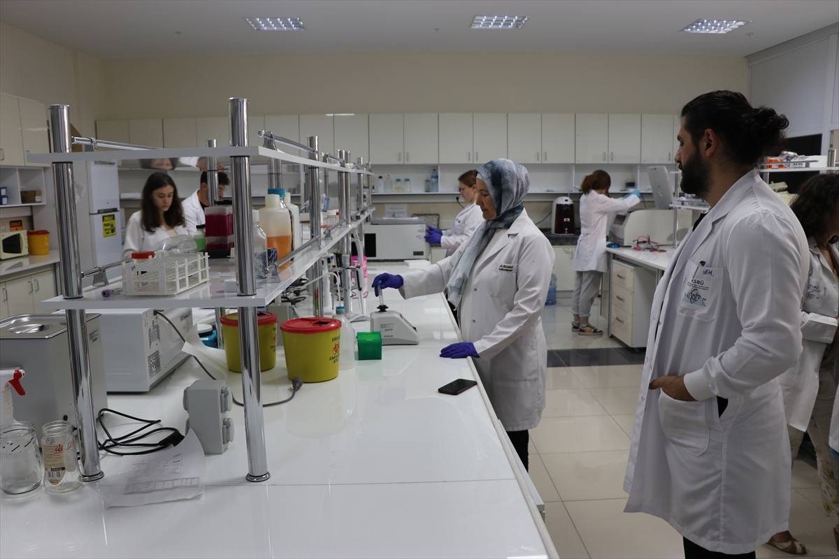 Aa 20260130 40406730 40406729 Akademisyenlerin Gelistirdigi Bor Icerikli Bilesenin Kanser Hucrelerine Etkisine Yonelik Calismalar Tamamlandi (1)