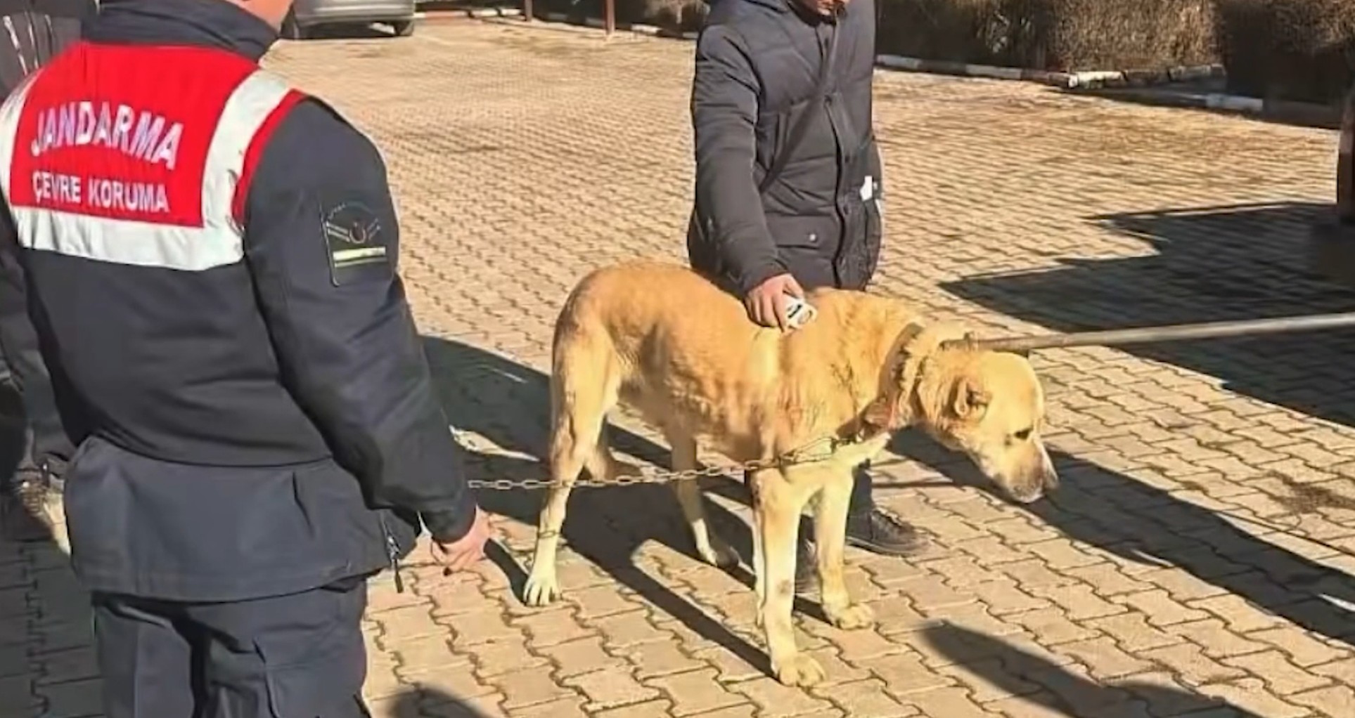 Ekran Görüntüsü 2026 01 21 194143