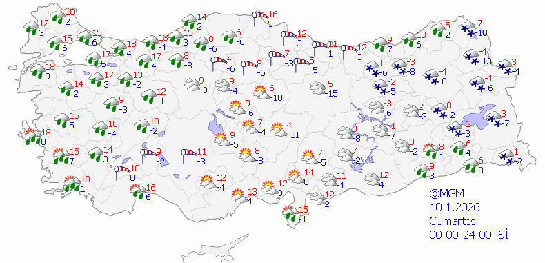 Haritatahmingun2 (2)