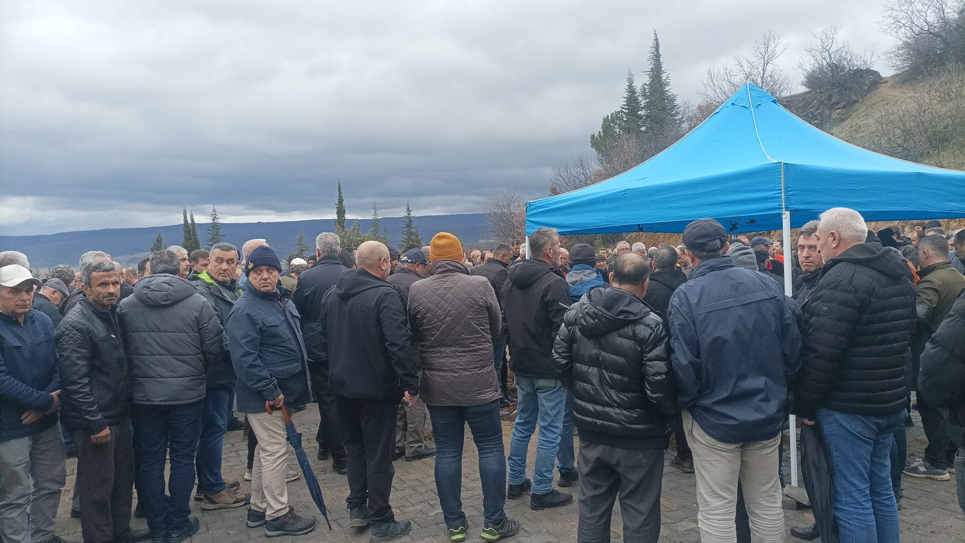 2B16857B 4205 4810 Bb27 8Fadb496501C