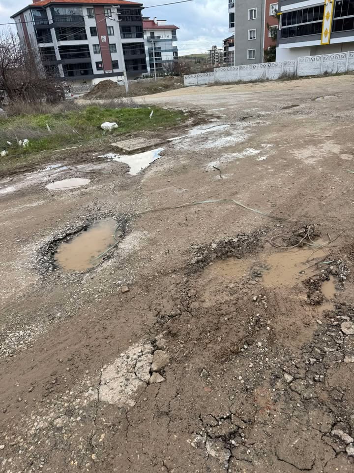 628056067 918544600685344 8664095130280848585 N