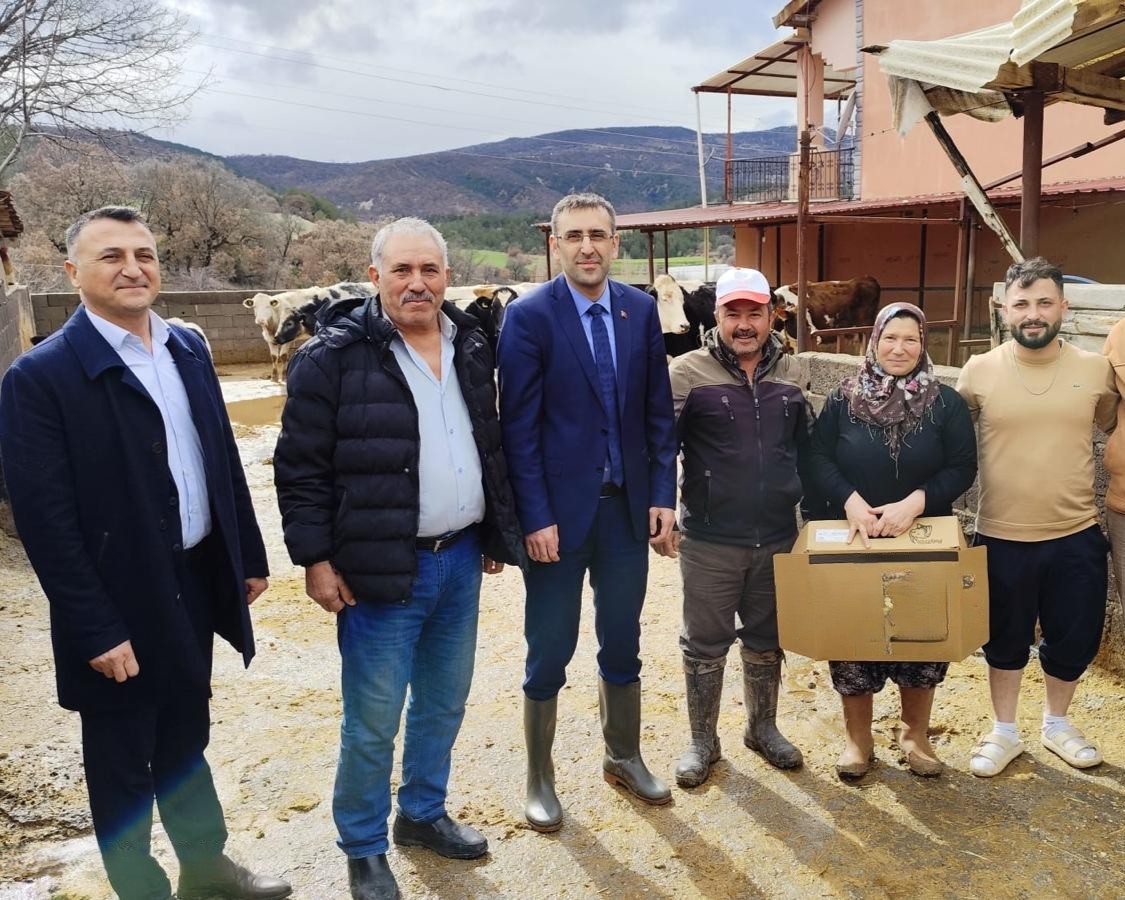 632903584 122196531650544242 2894720408815179066 N