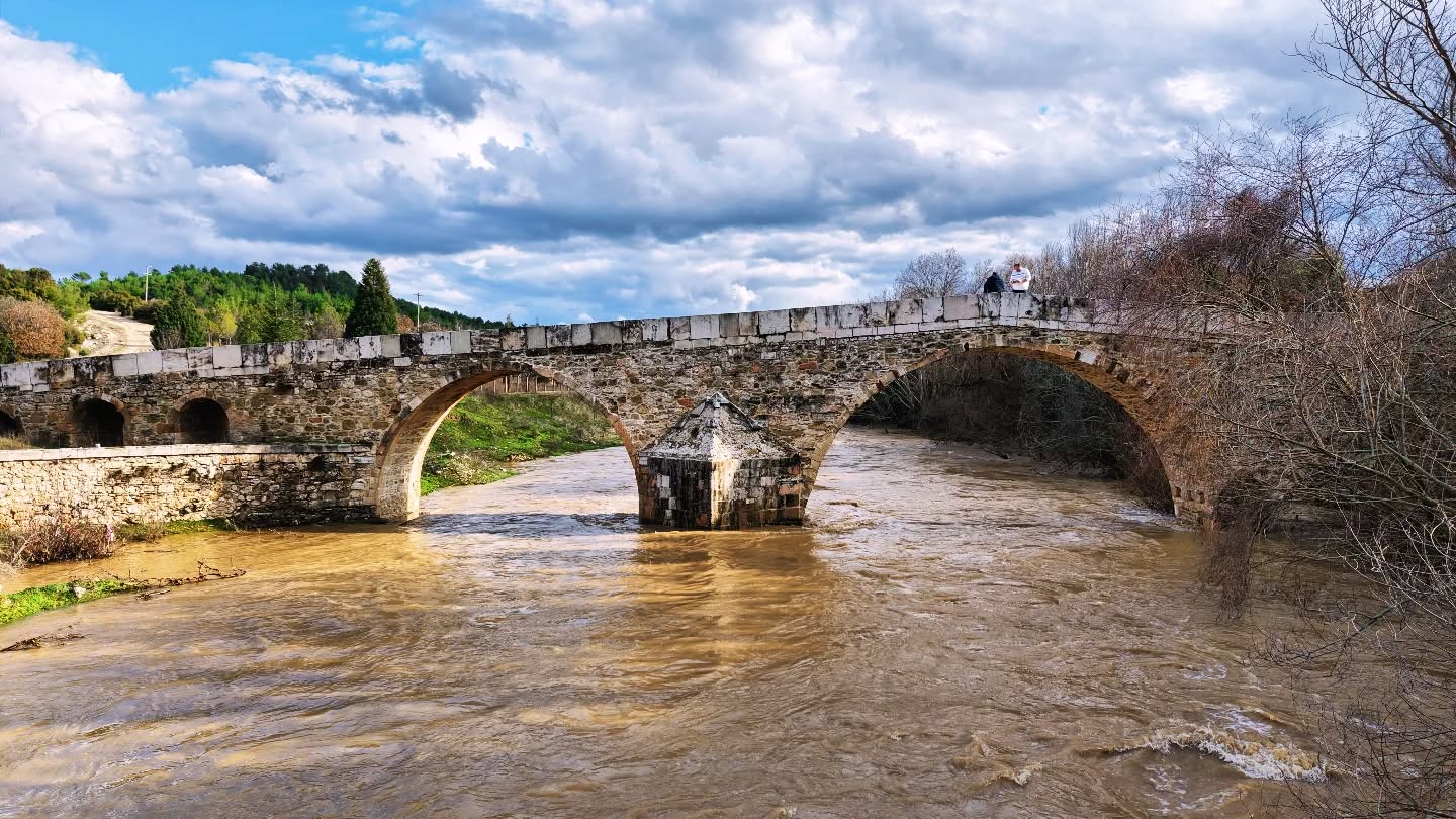 638308803 18557477506044056 6699155627491331781 N