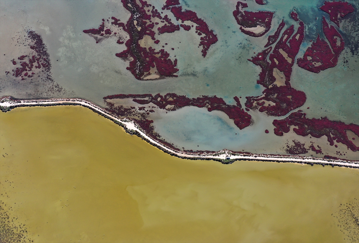 A A 20260201 40424544 40424509 B U Y U K M E N D E R E S D E L T A S I S U L A K A L A N L A R I Y L A Y A B A N H A Y A T I N A C A N V E R I Y O R