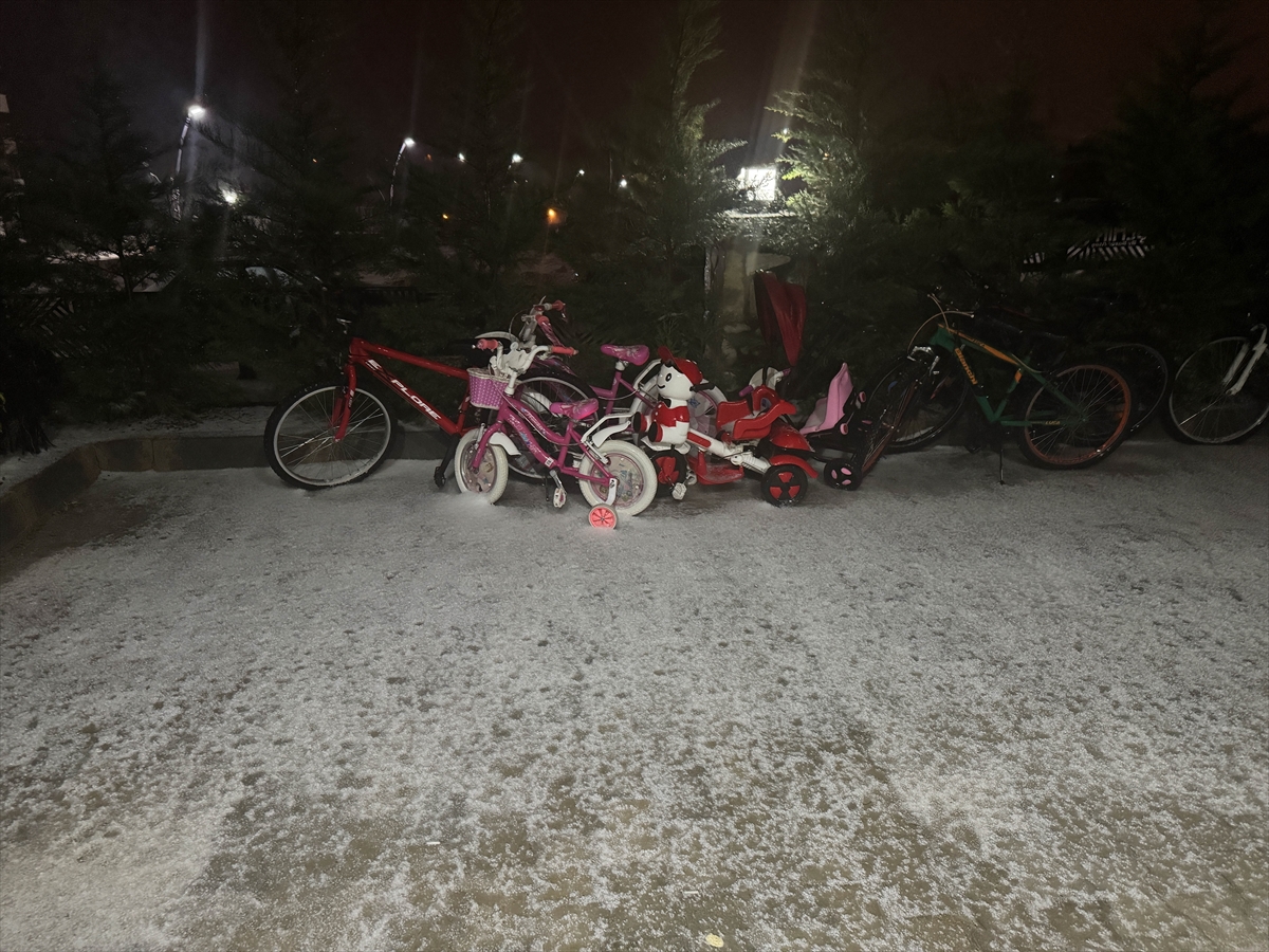 A A 20260201 40432103 40432096 U S A K T A D O L U E T K I L I O L D U