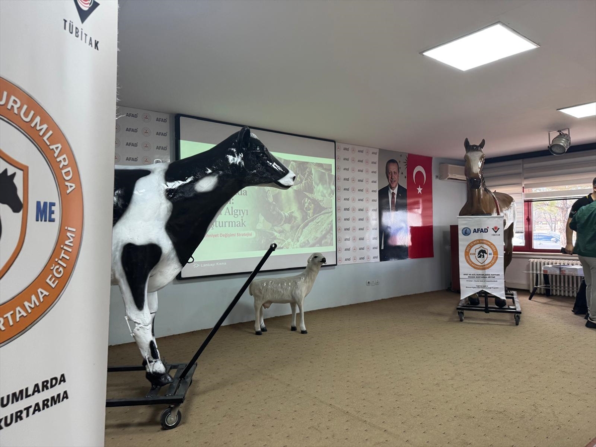 A A 20260204 40452922 40452919 A F Y O N K A R A H I S A R D A H A Y V A N A R A M A K U R T A R M A E G I T I M I D U Z E N L E N D I