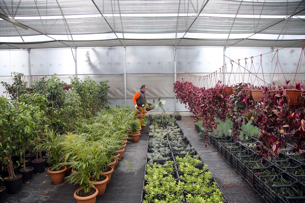 A A 20260214 40552585 40552581 D A L A M A N A C I K C E Z A I N F A Z K U R U M U N D A K I H U K U M L U L E R 14 S U B A T M E S A I S I N D E