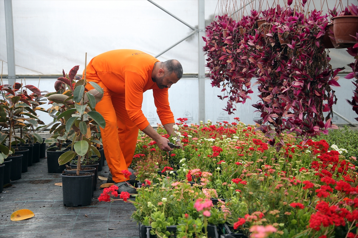 A A 20260214 40552585 40552582 D A L A M A N A C I K C E Z A I N F A Z K U R U M U N D A K I H U K U M L U L E R 14 S U B A T M E S A I S I N D E