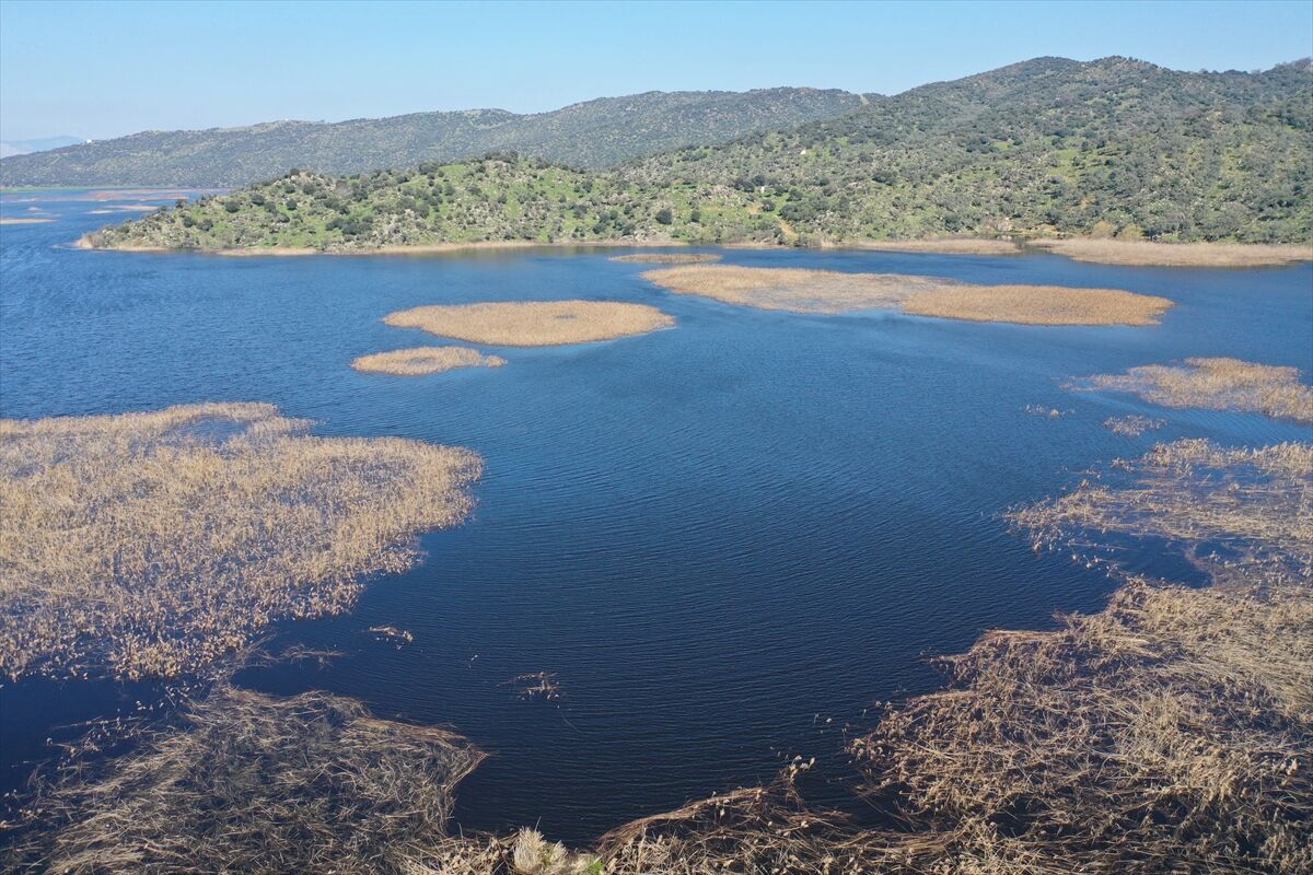 A A 20260225 40661623 40661598 K I S Y A G I S L A R I A Y D I N D A K I A Z A P G O L U N E C A N V E R D I