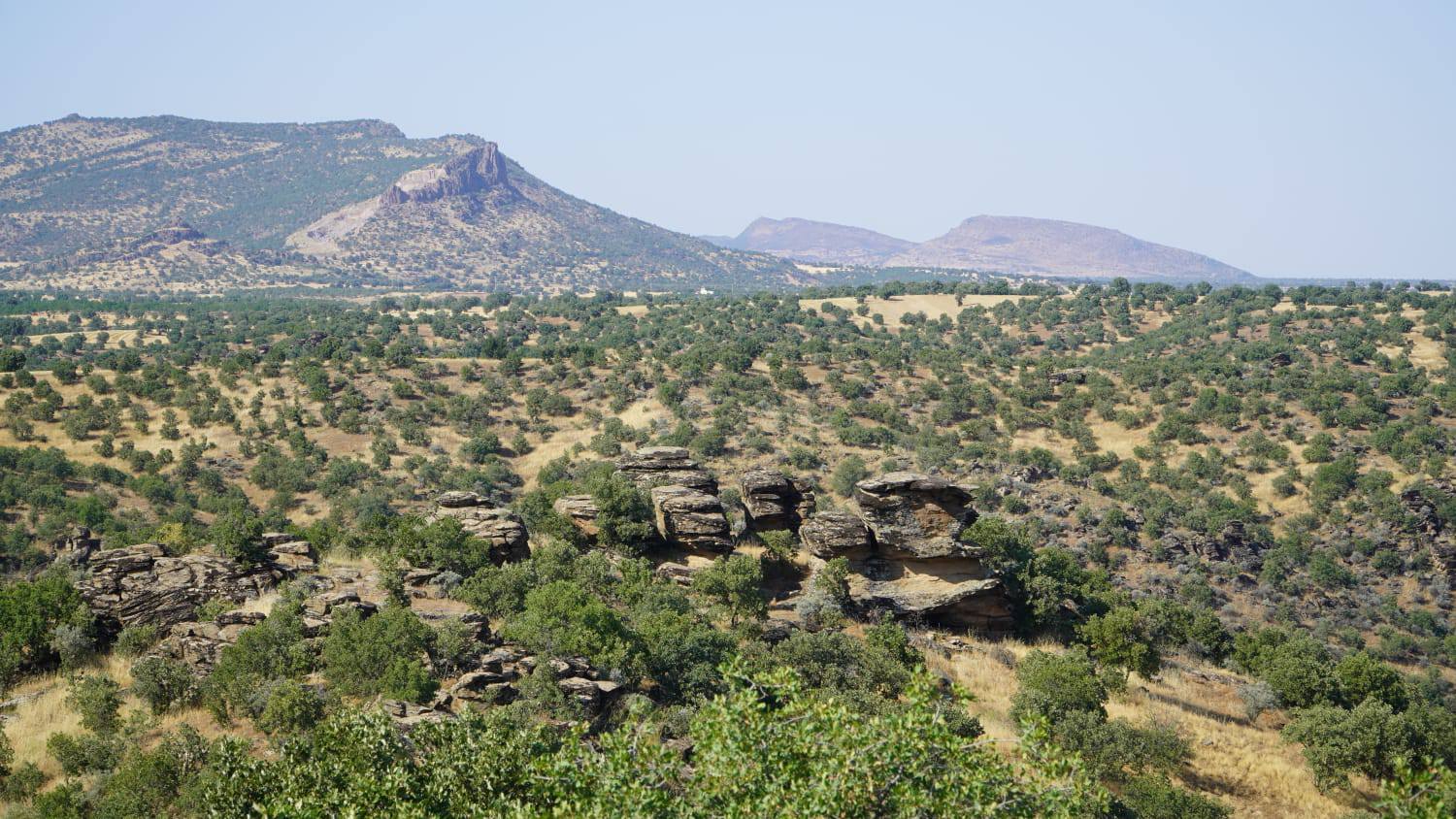 Alp Arslan Dur Eşme Kaya (2)