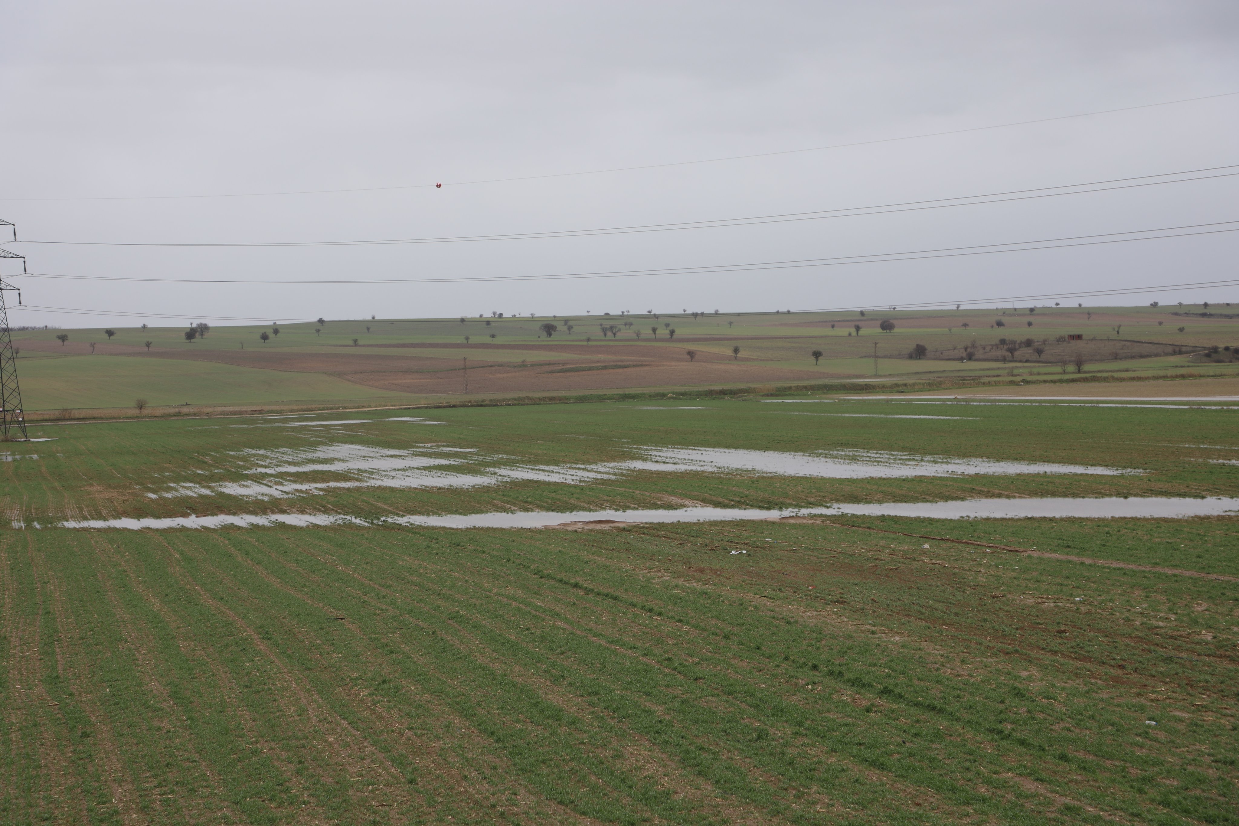 H Aoxqyxbk A A X5P P