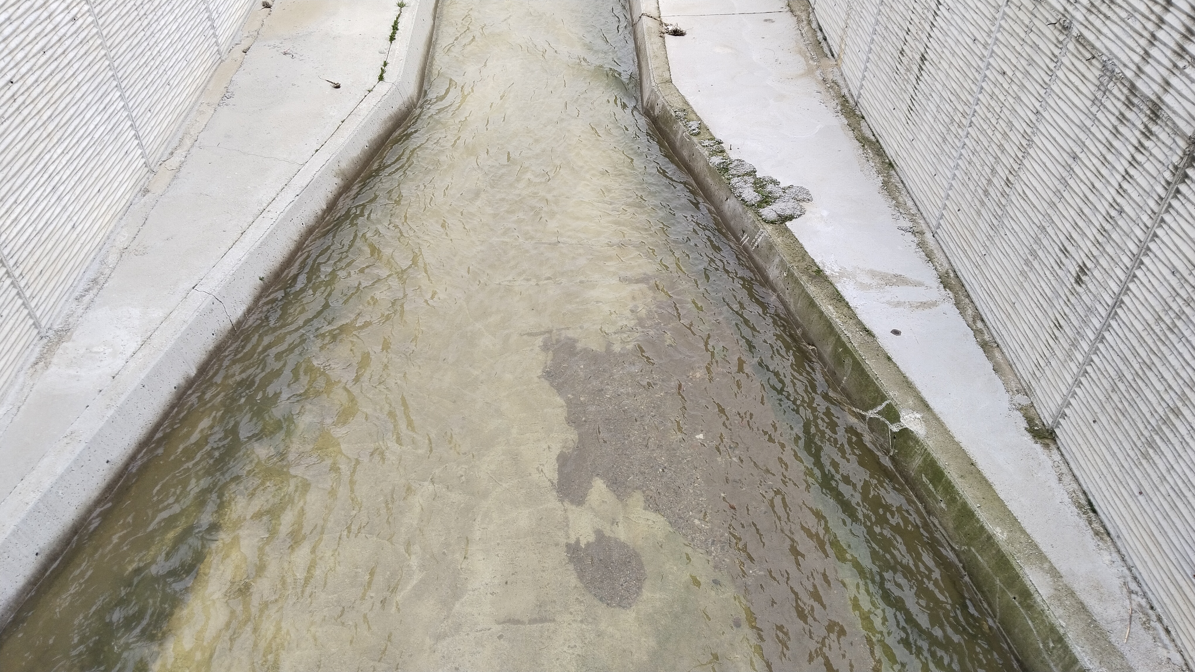 I M G 20260205 131518