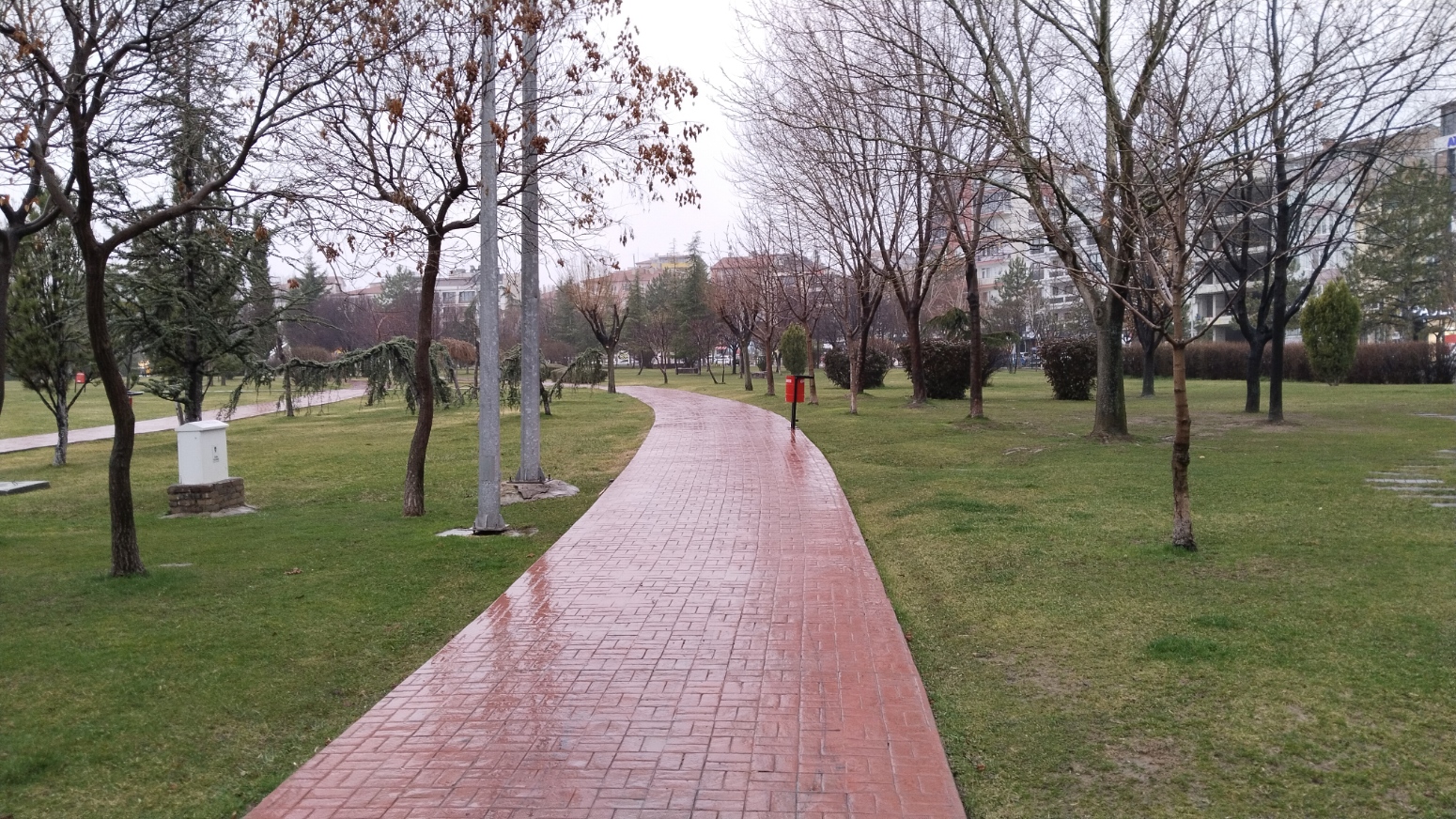 I M G 20260216 174446