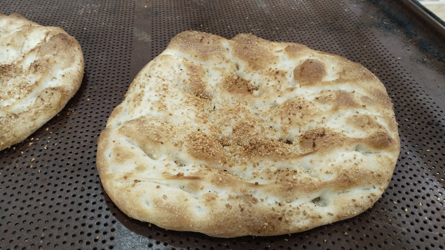 I M G 20260217 144535