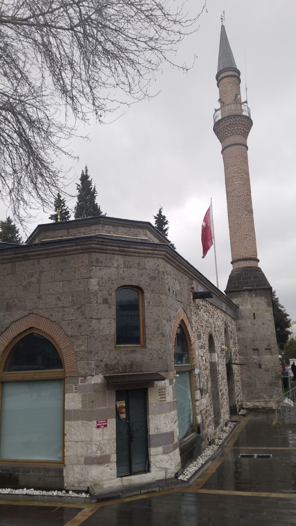 I M G 20260221 175621