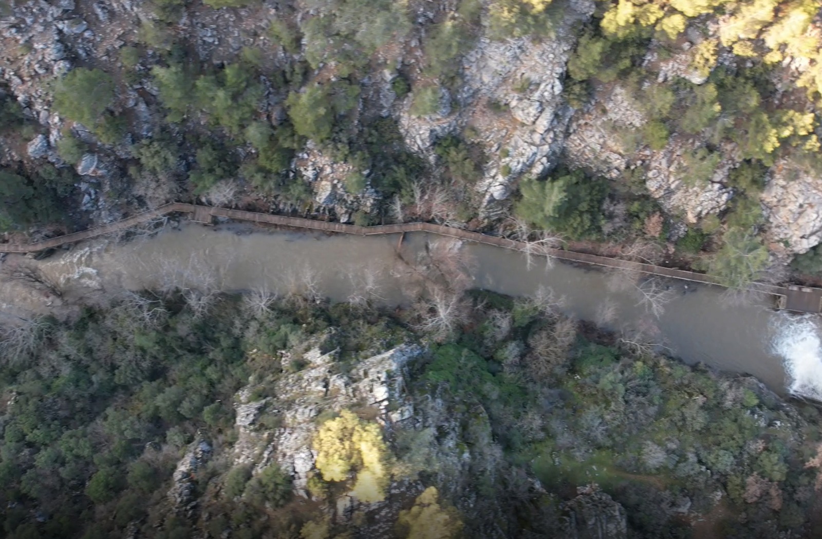 Whatsapp Image 2026 02 12 At 17.19.33