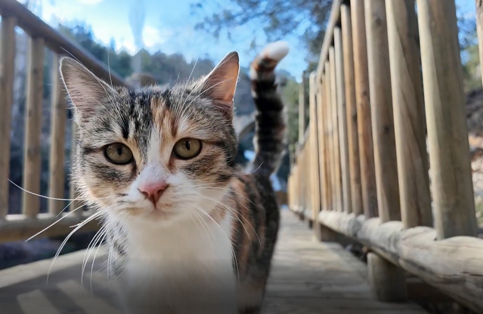 Whatsapp Image 2026 02 12 At 17.21.33