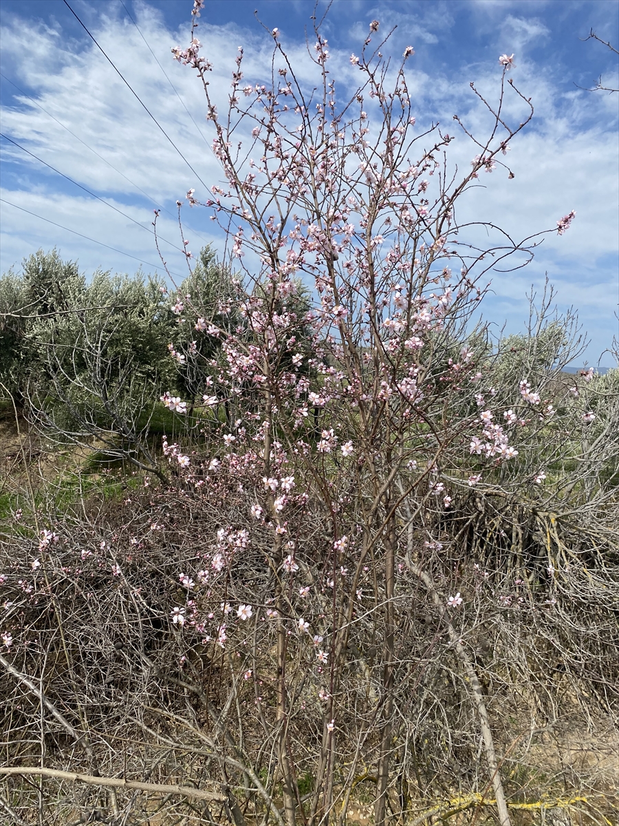 Whatsapp Image 2026 02 16 At 16.54.18 (3)