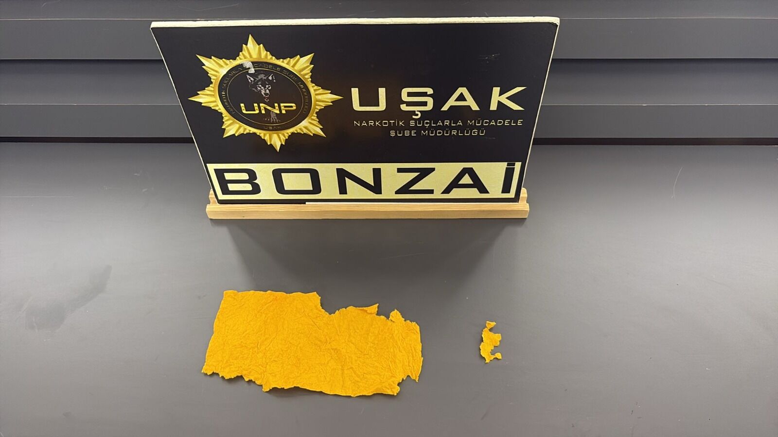 45893074 A5C5 4287 81Dd 9C7E32B4B132