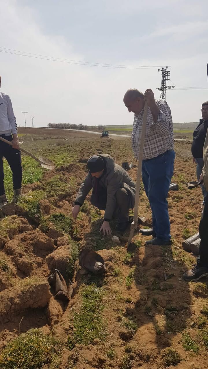 647328240 1552141279183311 519415813540931510 N