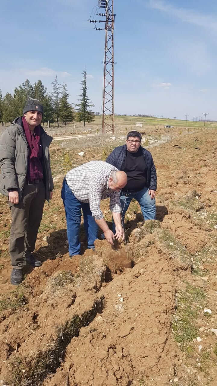 649674195 794303810390086 1432228432345333976 N