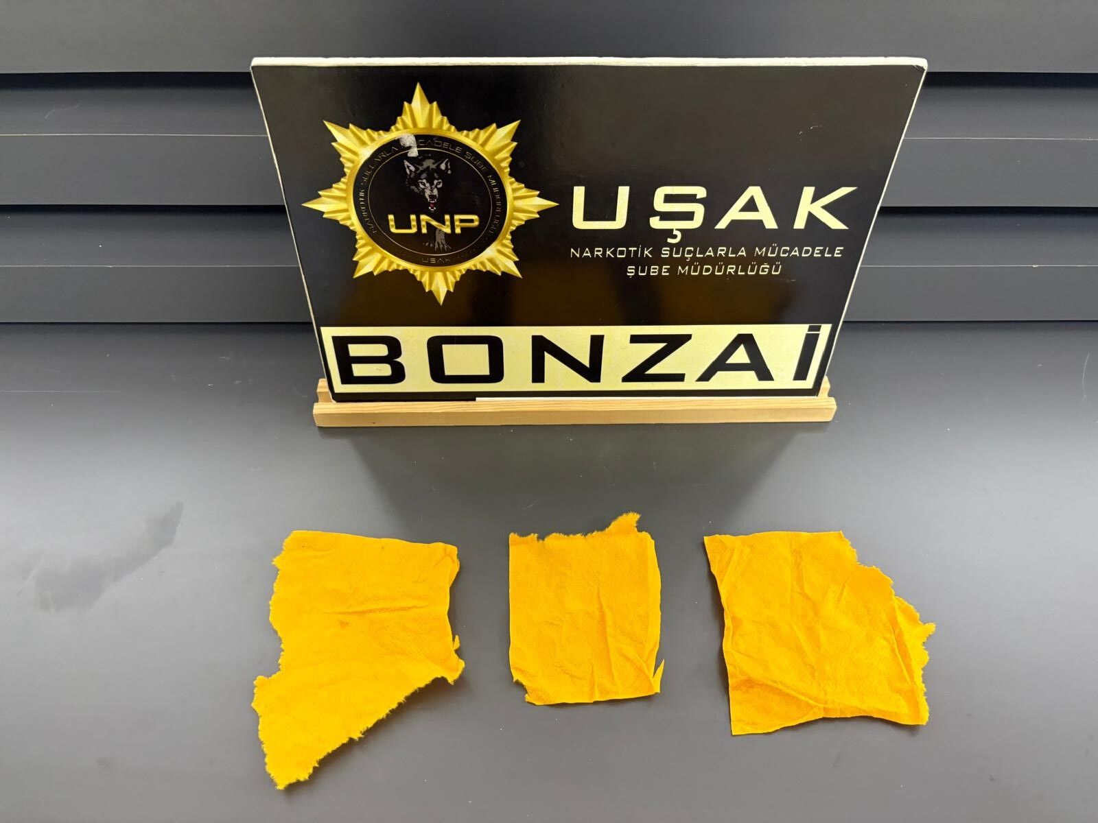 94D61Dd8 A2B1 49Bd Af65 8B988Cefa848