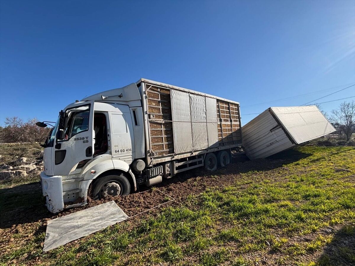 A A 20260302 40710234 40710233 U S A K T A K A M Y O N I L E C A R P I S A N T R A K T O R U N S U R U C U S U Y A R A L A N D I