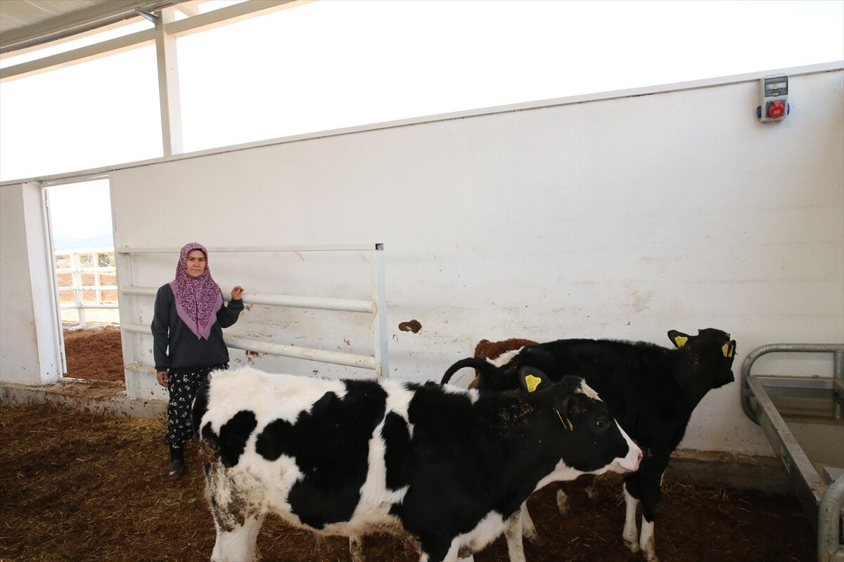 A A 20260308 40764297 40764287 D E N I Z L I D E K A D I N G I R I S I M C I D E V L E T D E S T E G I Y L E H A Y A L E T T I G I C I F T L I G I K U R D U