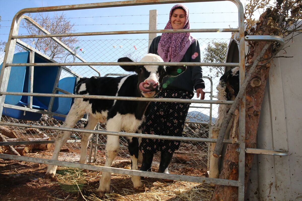 A A 20260308 40764297 40764288 D E N I Z L I D E K A D I N G I R I S I M C I D E V L E T D E S T E G I Y L E H A Y A L E T T I G I C I F T L I G I K U R D U